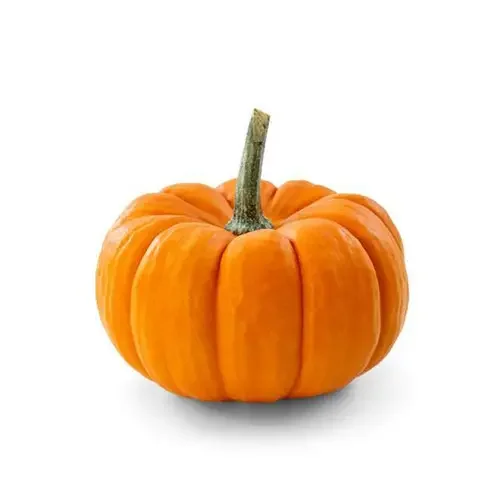 1675360137815.png