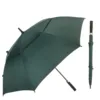 Deep Green