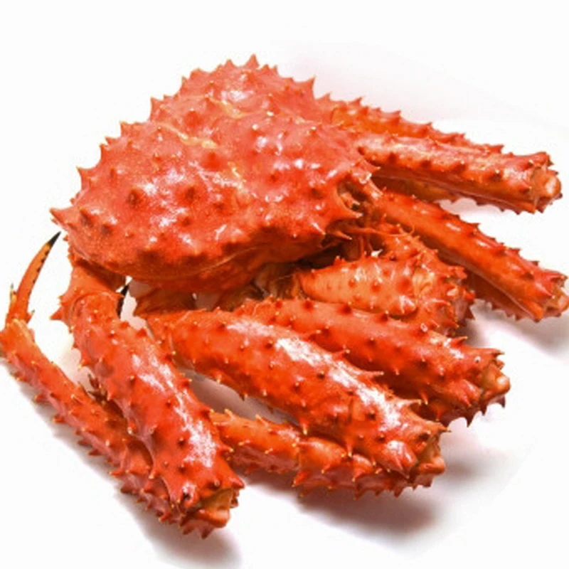 Frozen King Crab Supplier / Live King Crabs For Sale / Discounted King