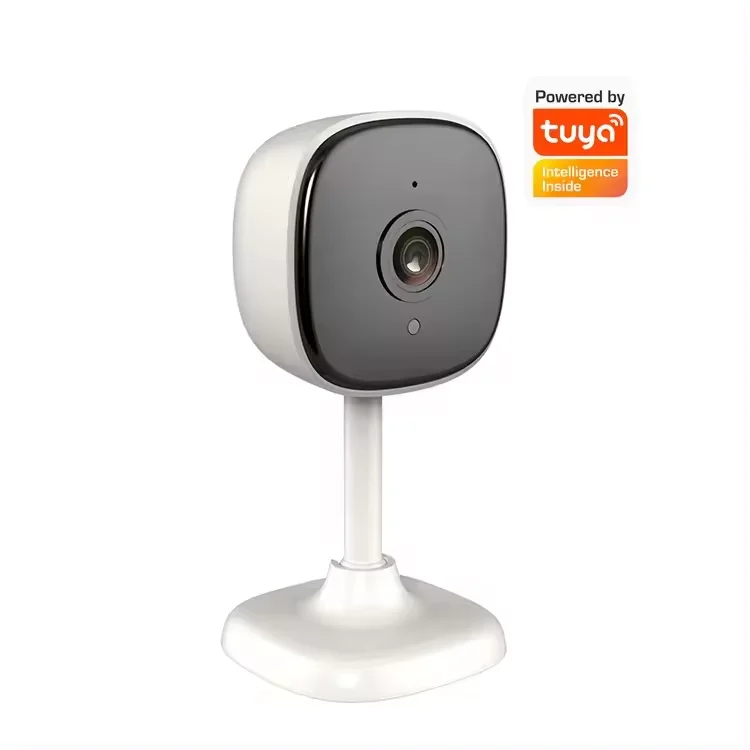 Tuya Smart Wide Voltage Indoor Dome Surveillance Camera