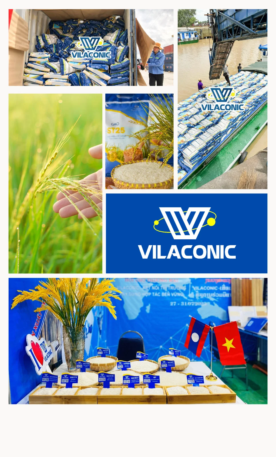 Vietnam St25 Rice Premium Jasmine Ong Cua,World Best Rice 2019,High ...