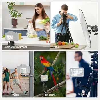 NEEWER Phone/Action Camera Mount Adapter for Desk Tripod Cold Shoe Super Clamp with 3" Dual Ball Head Magic Arm detail image