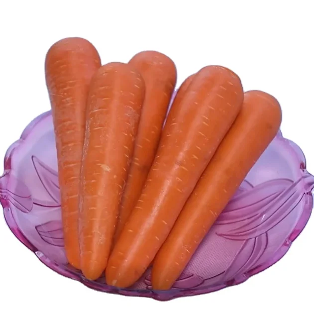 Fresh Carrot Fruit & Vegetable Products Good Price Organic Follow the Customer's Request Made in Vietnam Manufacturer