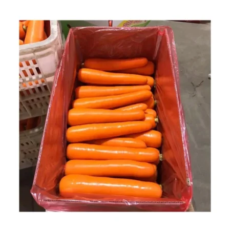 Best Price Carrots for Wholesale Export Natural Fresh Carrots