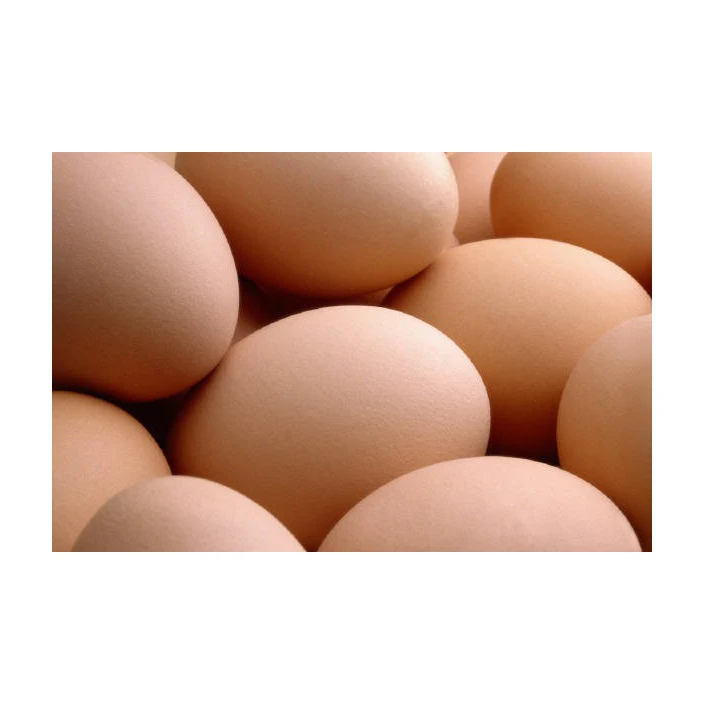 Оптовая продажа 308 и 500 Бройлер инкубационные яйца свежие куриные столовые для фермерского использования