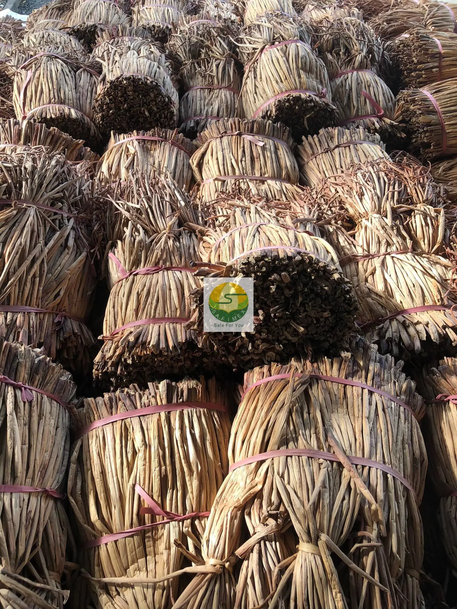 Water Hyacinth Raw Material For Handicraft Products Making Cheap Price