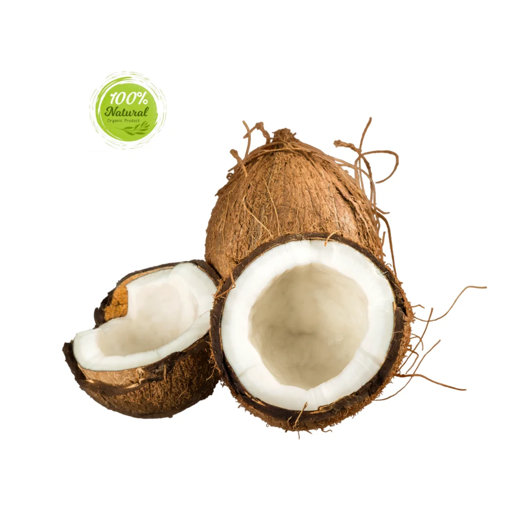 Exploring the Nutritional Value of Dried Coconut