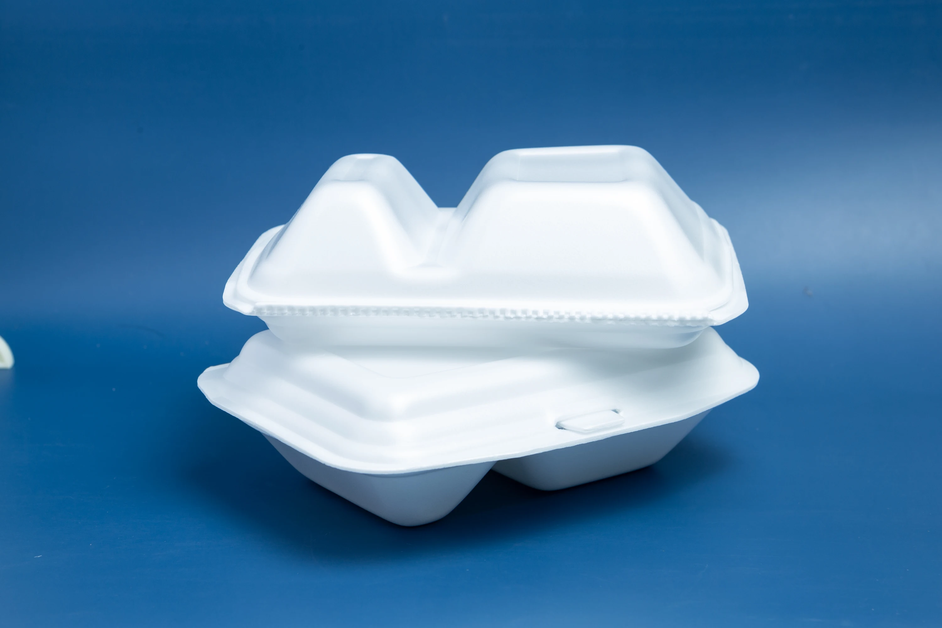 Disposable Partition Food Containers Food Container Supplier Ps Foam