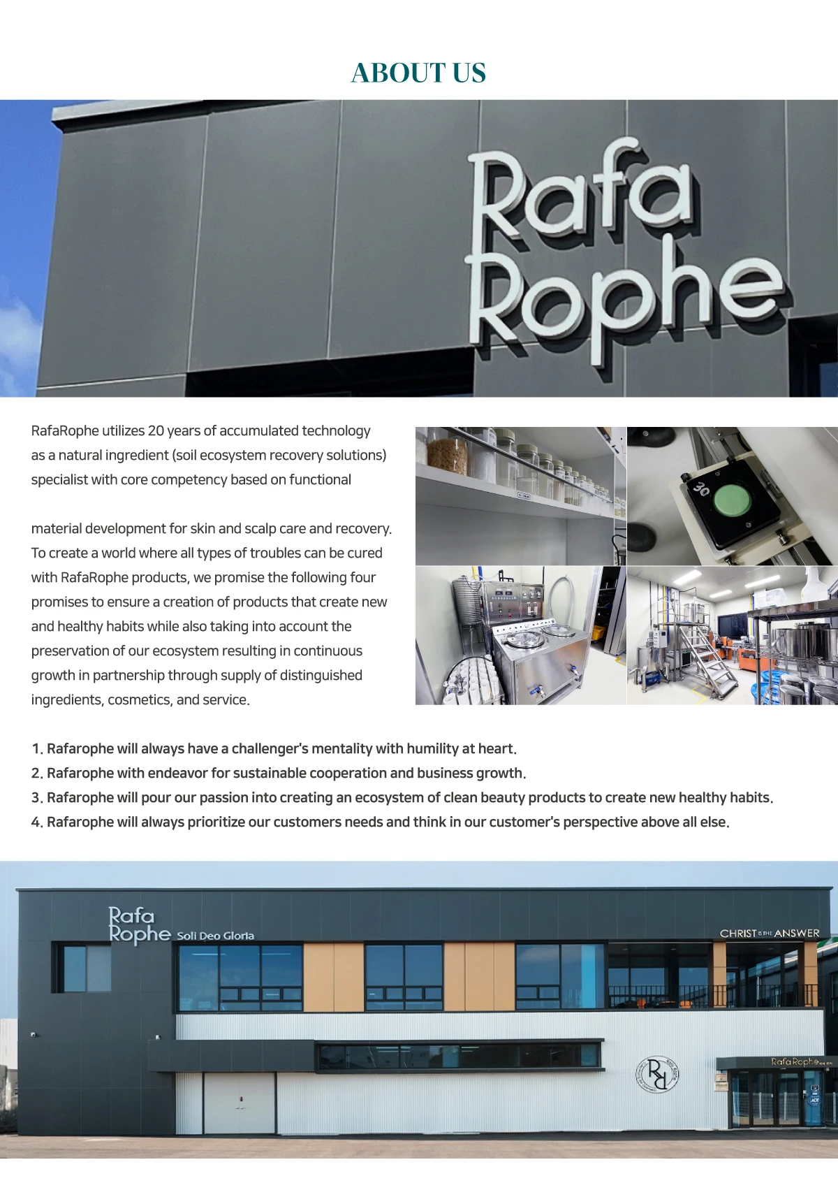 Wholesale Professional Amino Acid Shampoo Antihair Loss Shampoo Korea Kaki Persimmon Essence