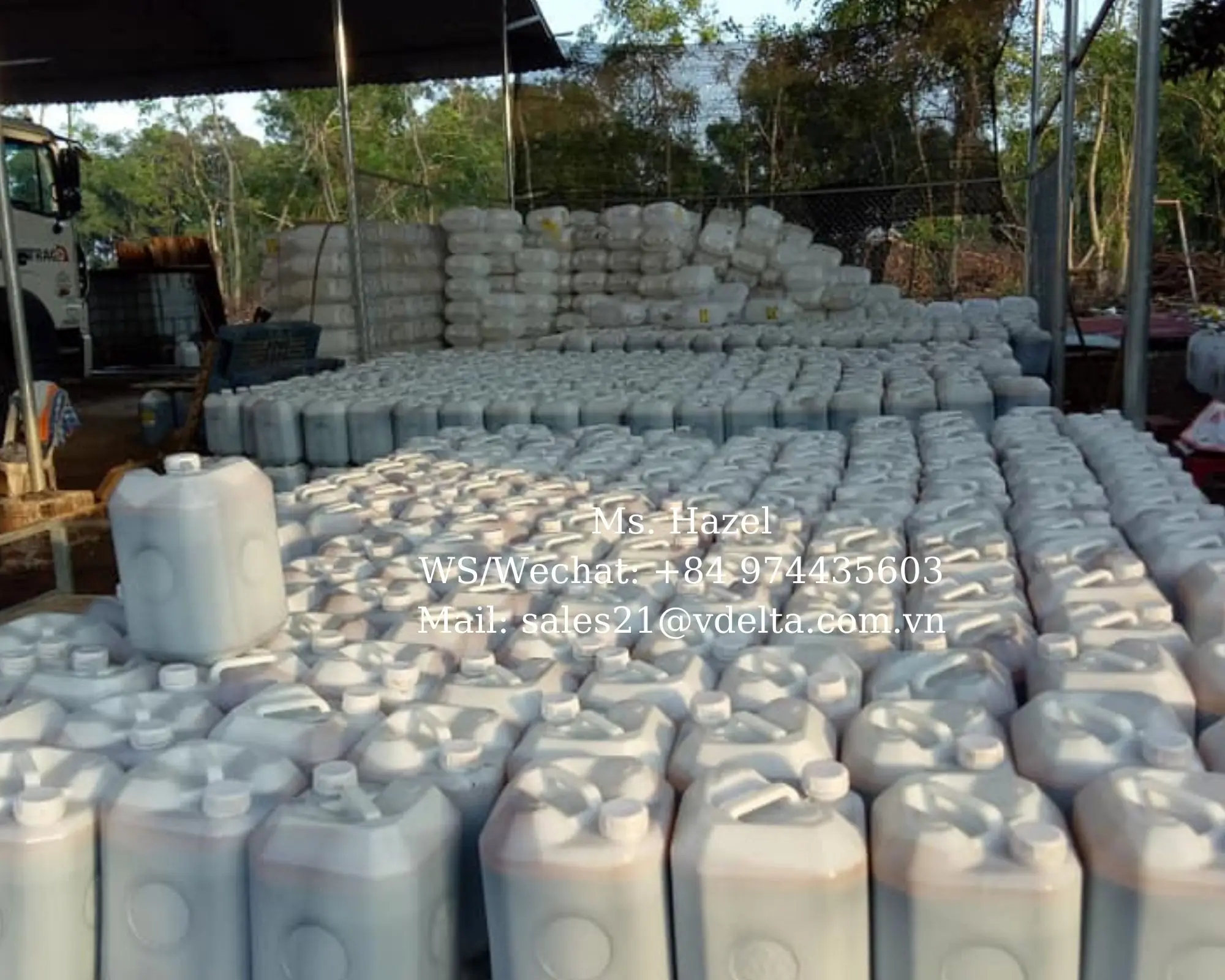 Top Quality Sugarcane Molasses Cattle Feed/bulk Syrup Molasses Industry Blackstrap /ms. Hazel