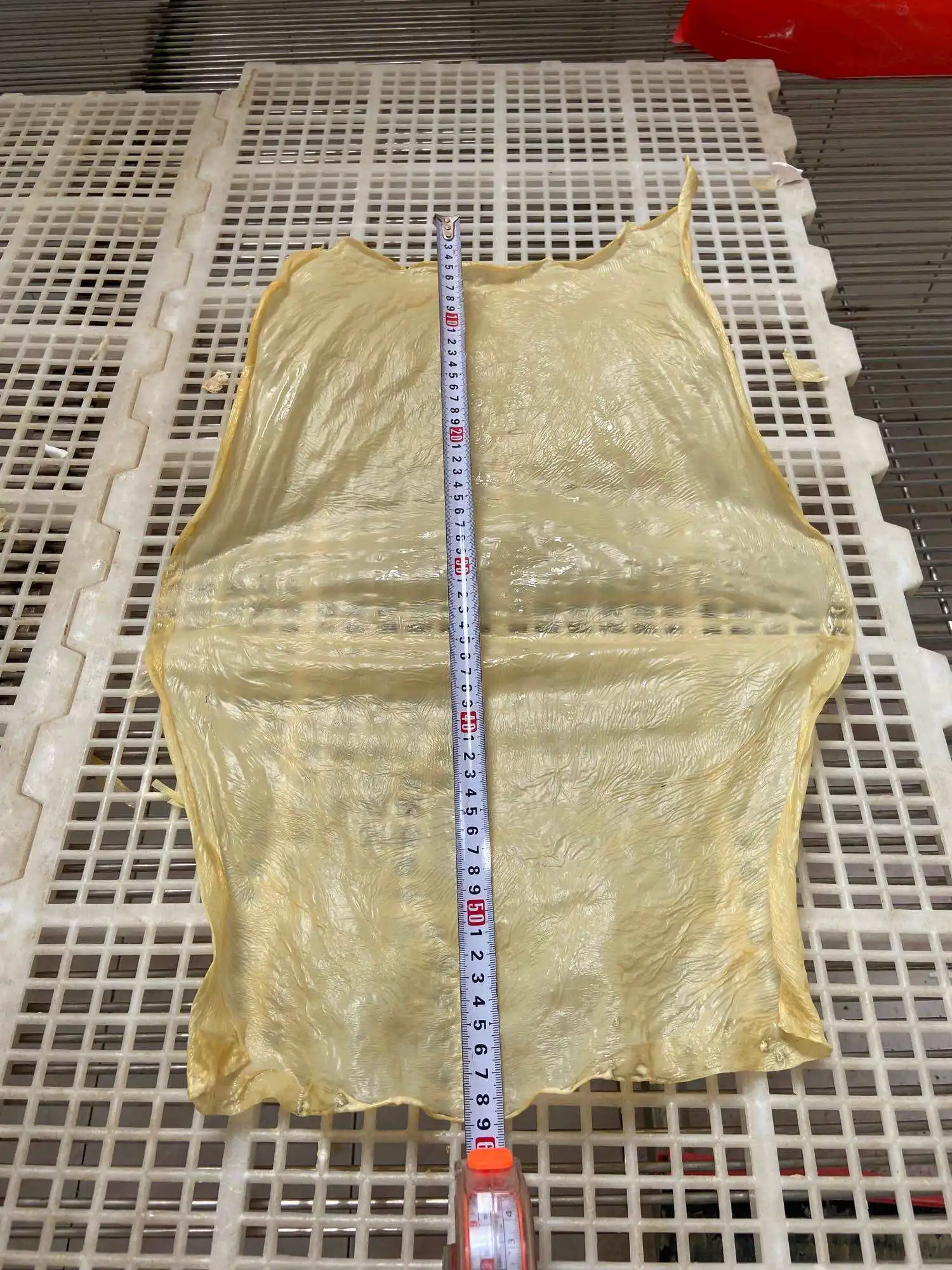 Vietnamese Supplier Yuba Dried Soybean Sheets Frozen Tofu Skin Pieces