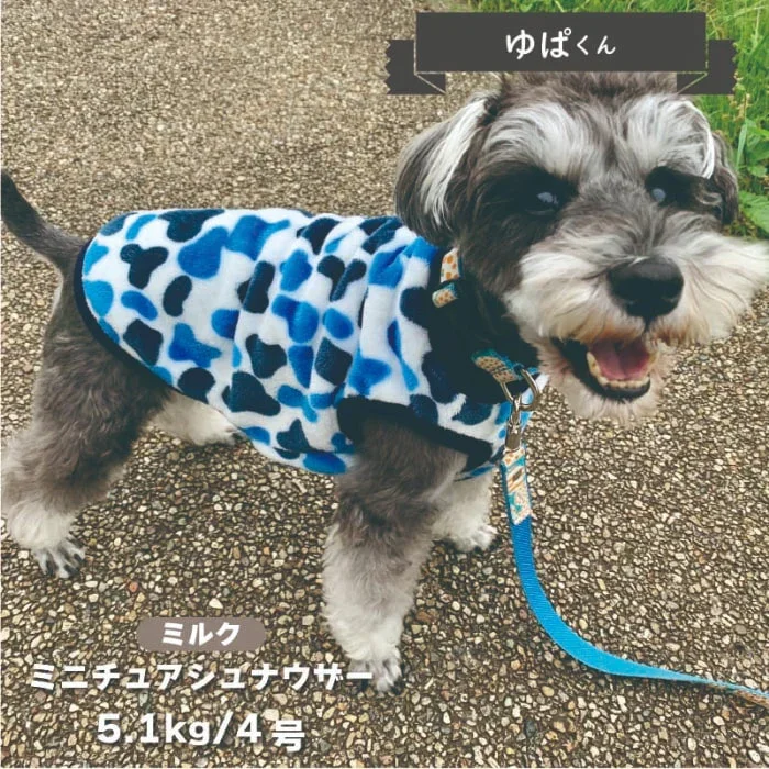 Best Seller Luxury Design New Product Fluffy Tank Small Dog Dachshund