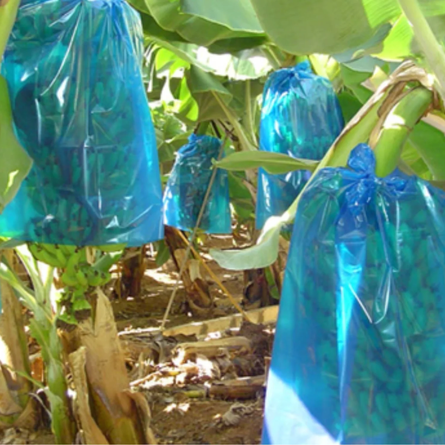 Factory Price UV Protection Cover Nonwoven Fruit Bag Banana Protection