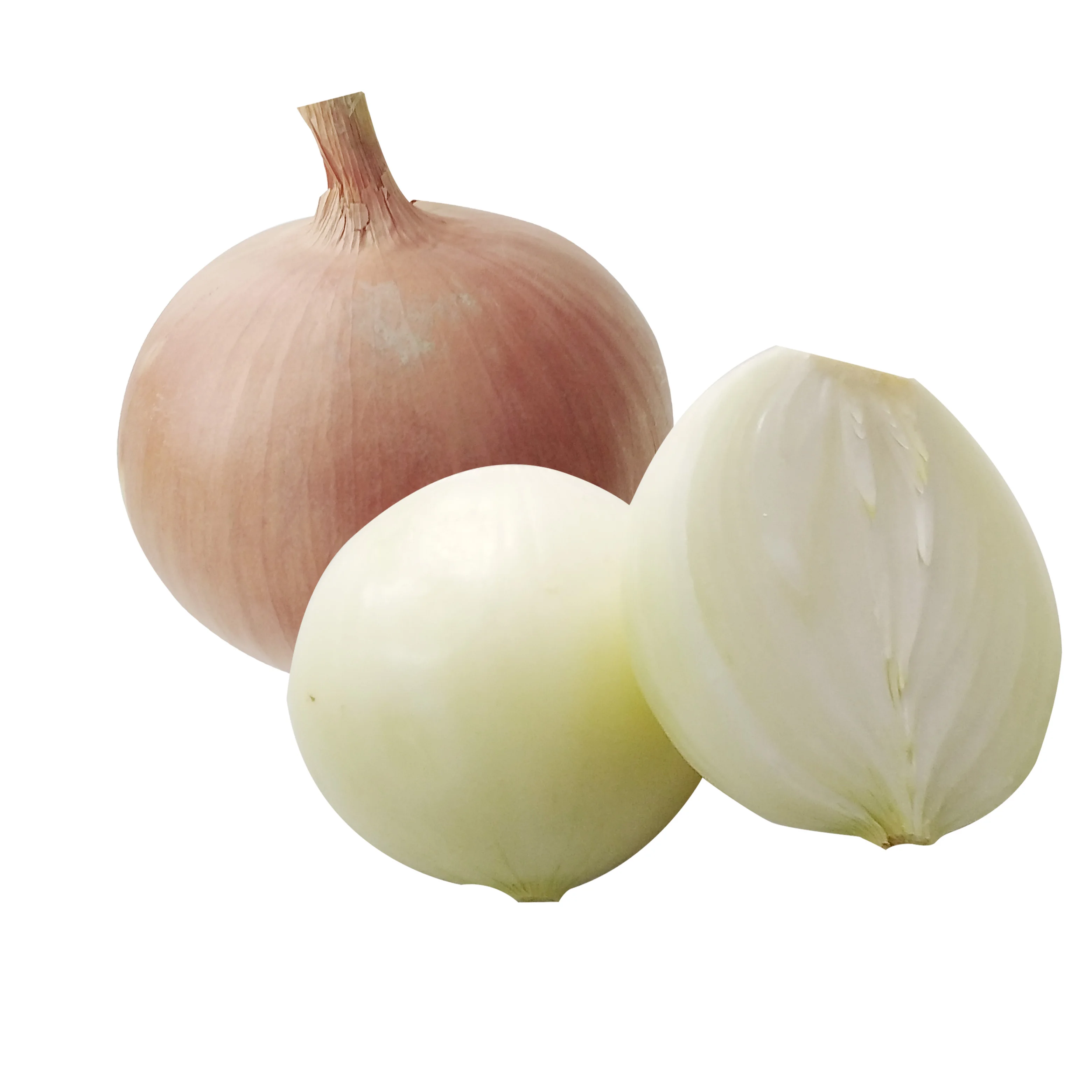 Food Grade Yellow Onion Price Ton on Fresh Red Onions for Sale by Onion Suppliers at Affordable Prices Anytime .