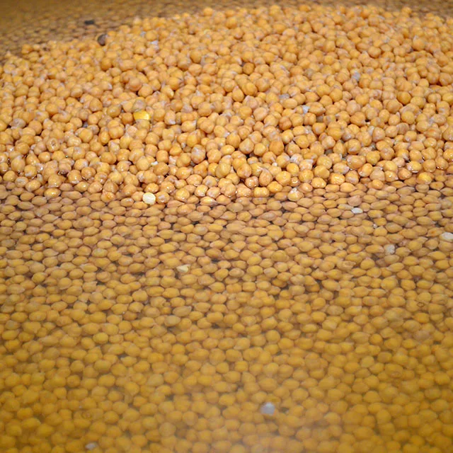 Лучшие органические бобовые, приготовленные из испанского консервированного нута, готовые к употреблению консервированные органические вареные Нуты для супермаркетов и ореки