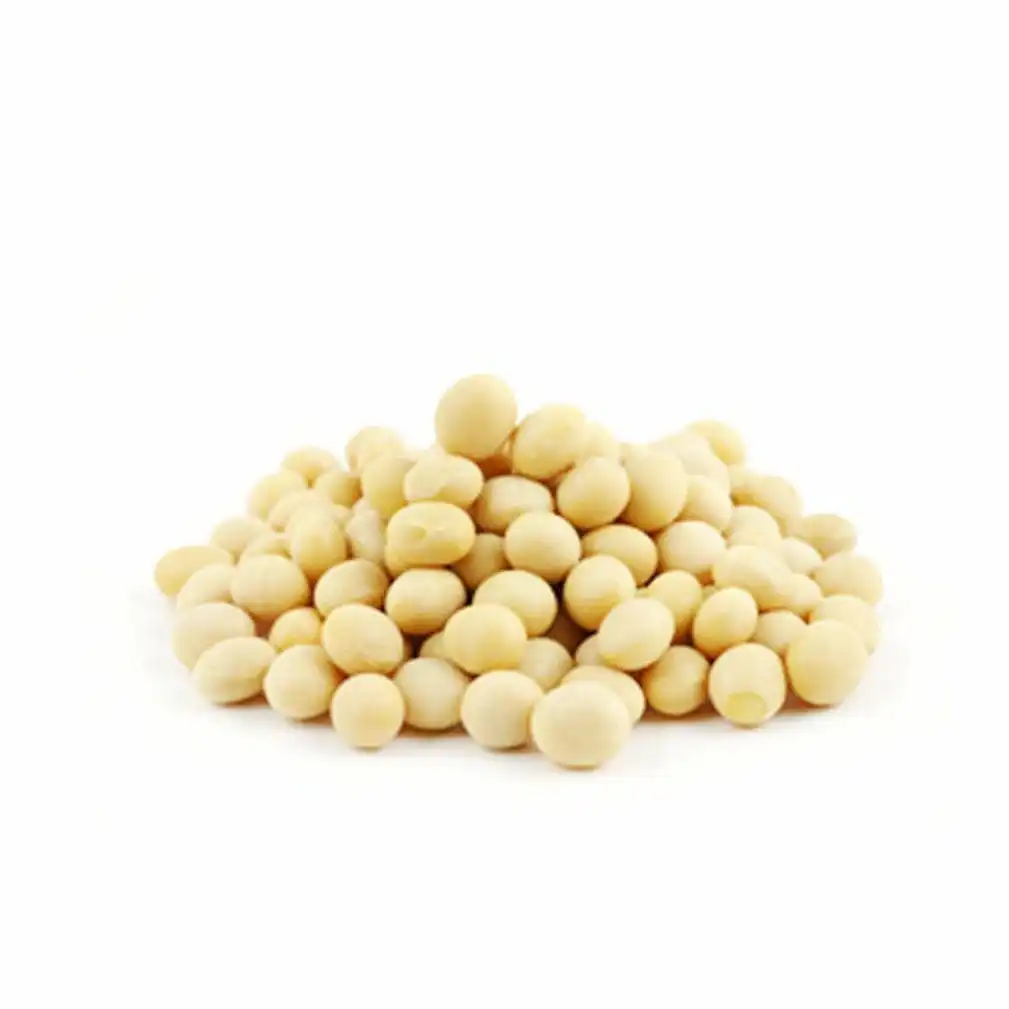 2024 Crop Chinese High Protein Soya En Grano Yellow Soybean Soya Beans