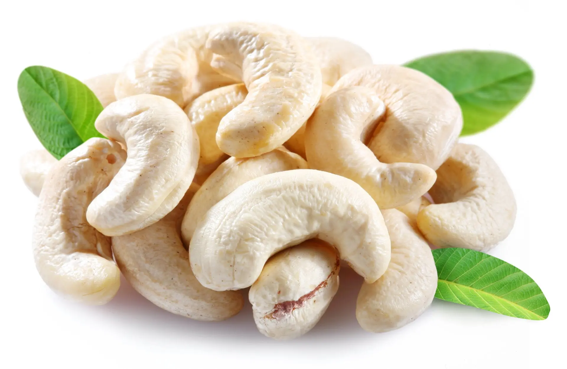 Cashew Nuts wholesale price