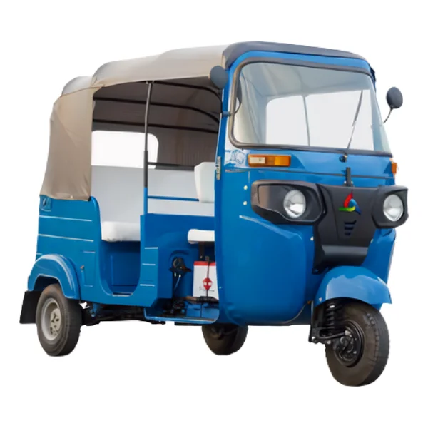 Hot Sale Auto electronic Tuk Tuk Three-wheeler Auto Rickshaw 1+6 ...