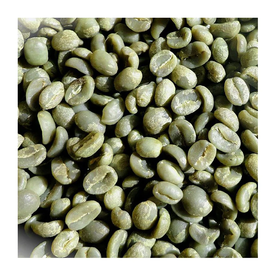 Green Robusta Coffee / Robusta Green Beans Coffee Best Quality Buy