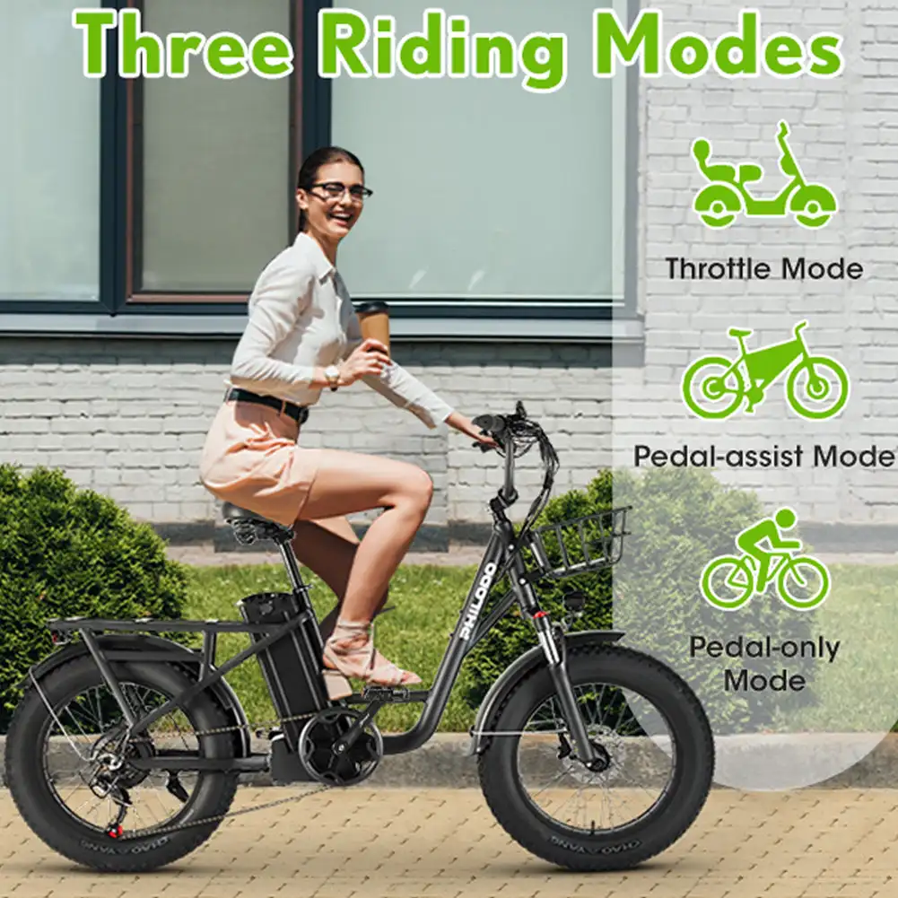 （EU Stock）PHILODO T1 Electric Bike