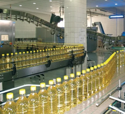 Canolaa3.jpg