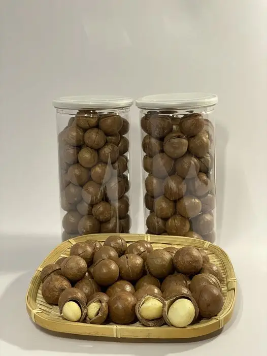 Macadamia Nuts Dried Grown In Vietnam At The Most Competitive Price Today With High Quality Mary