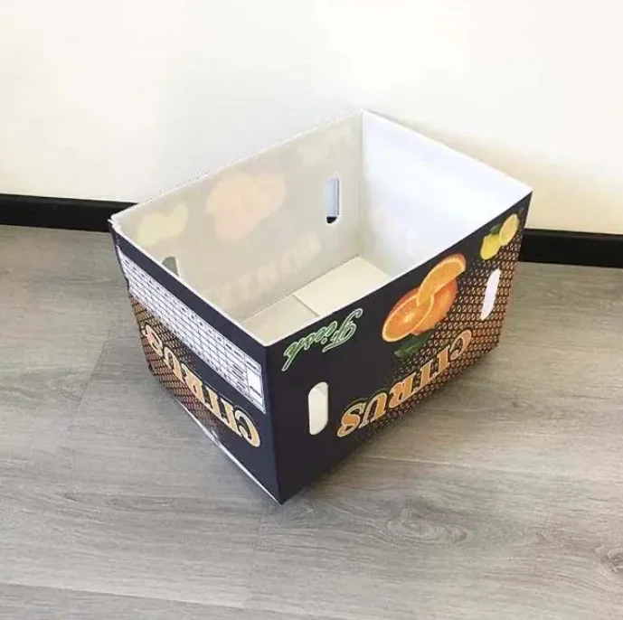 Custom Printed Corrugated Cardboard, Red Dates, Tomatoes, Fresh Vegetables, Fruits, Packaging, Transportation Carton