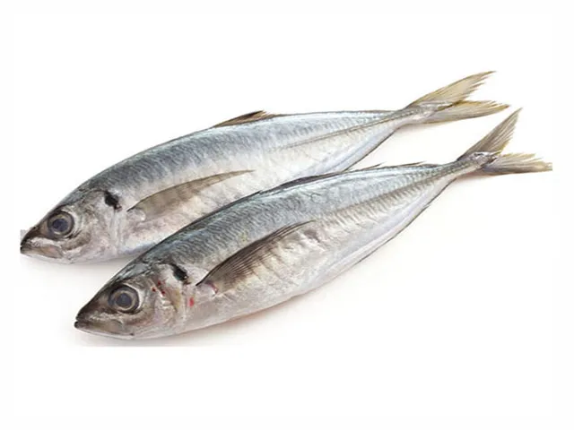 Frozen Horse Mackerel,Grade 3a,Best Seller/horse Mackerel Importers In ...