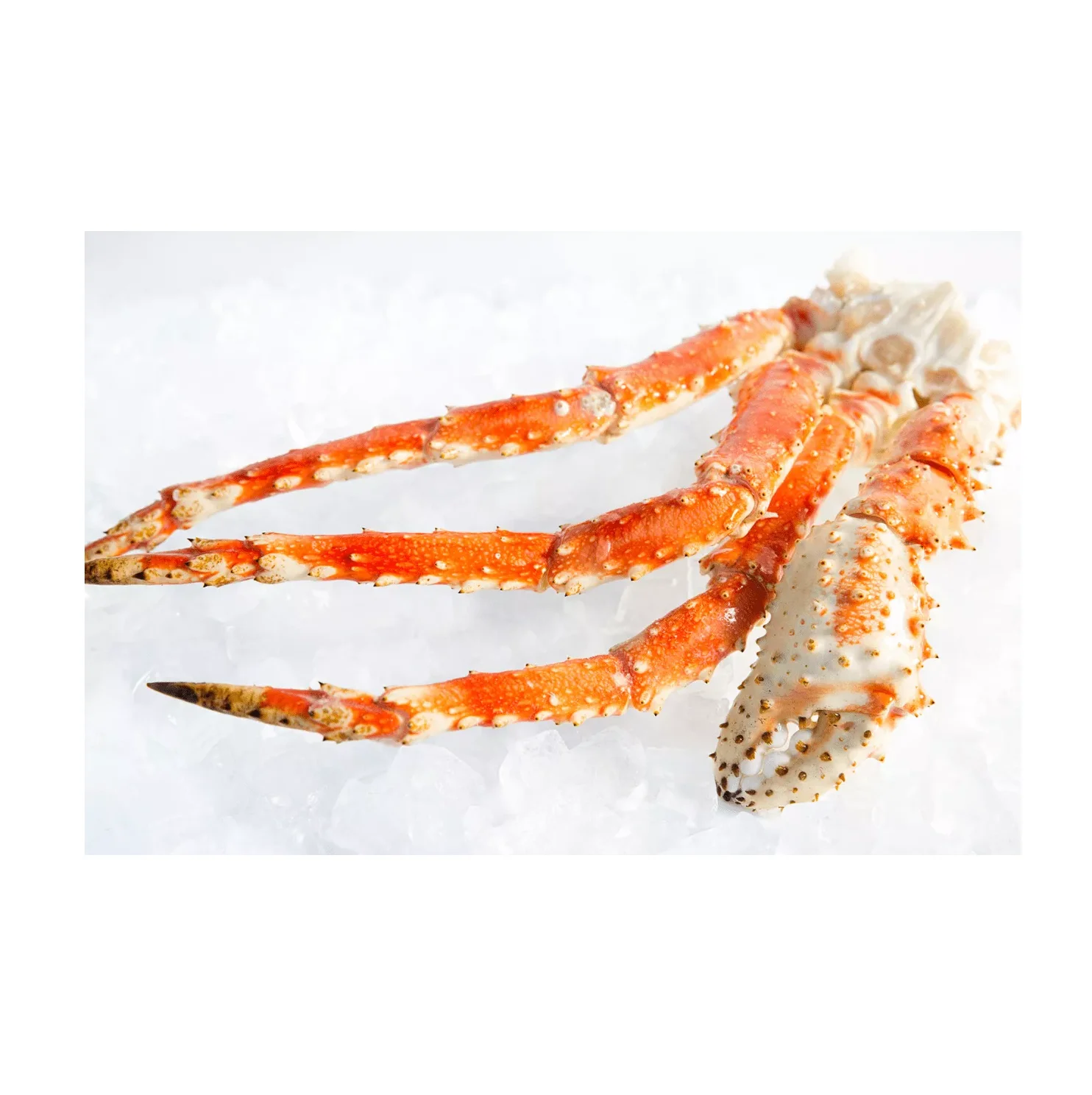 Alaskan Golden King Crab Clusters Buy Crab Legs King Crab King Crab