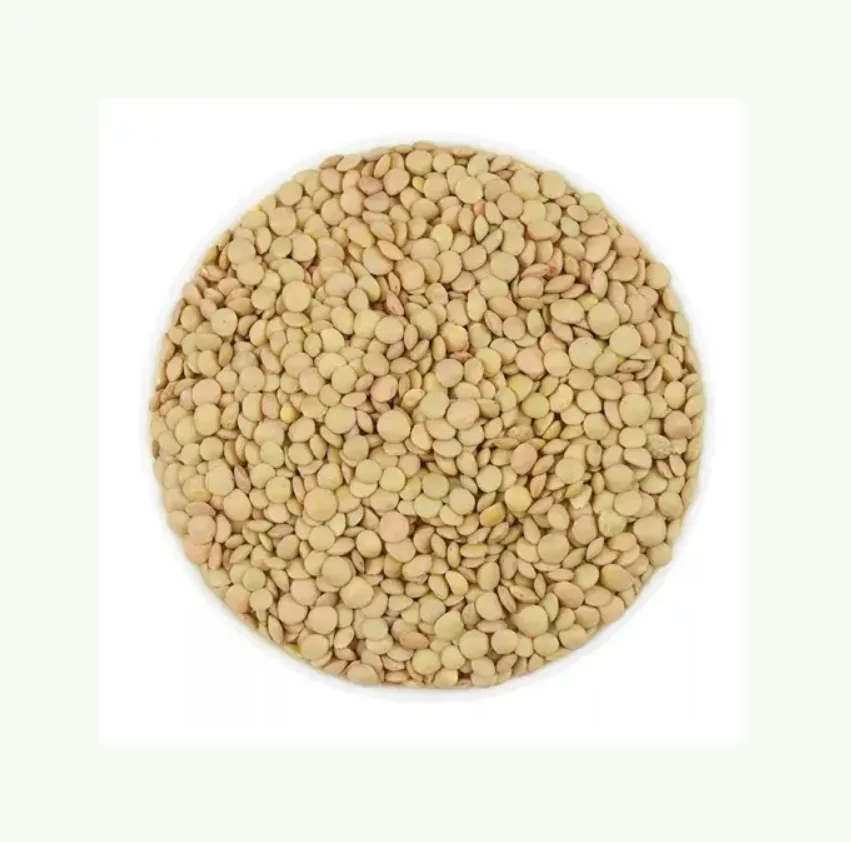 Healthy Food Green Lentils 100% Natural Legumes Organic Beans Bulk Non-GMO Dried Green Lentils Low Price