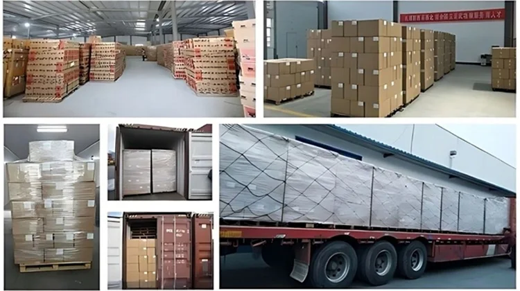 Limited Offer Mountain Bike Lightweight Aluminum Frame Outdoor Adventure Cycling Fitness Smooth Reliable Ride