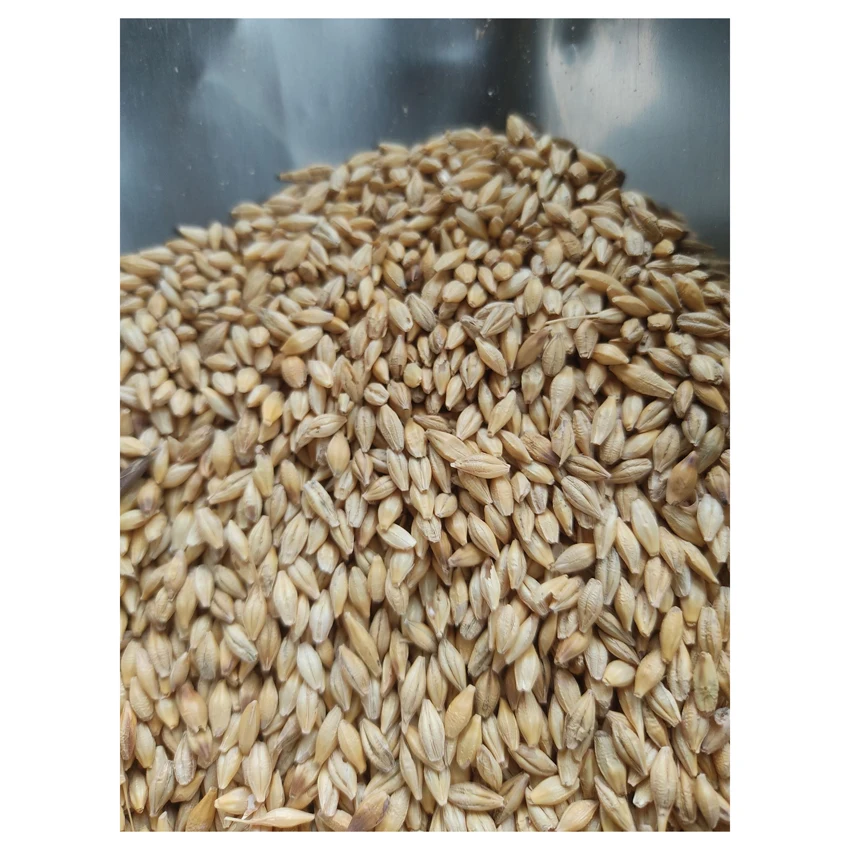 Сушеные украинские жемчужины и ячмень для производства