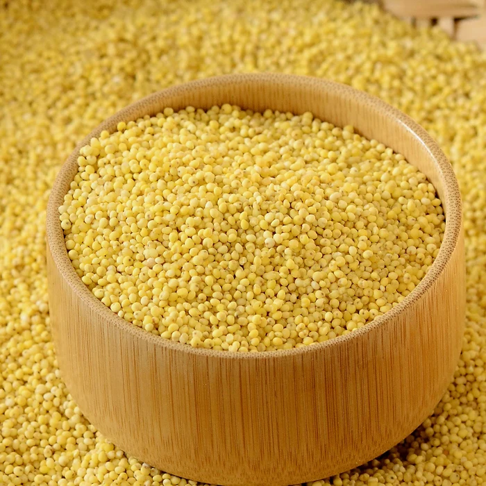 Сарацинское пшено это. Yellow Millet. Просо жёлтое. Пшено желтое. Пшено для птиц.