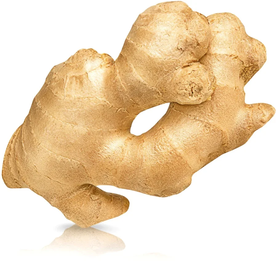 Buy Sun Dried Ginger \ Premium Quality Ginger Hot Sale Buy Onion