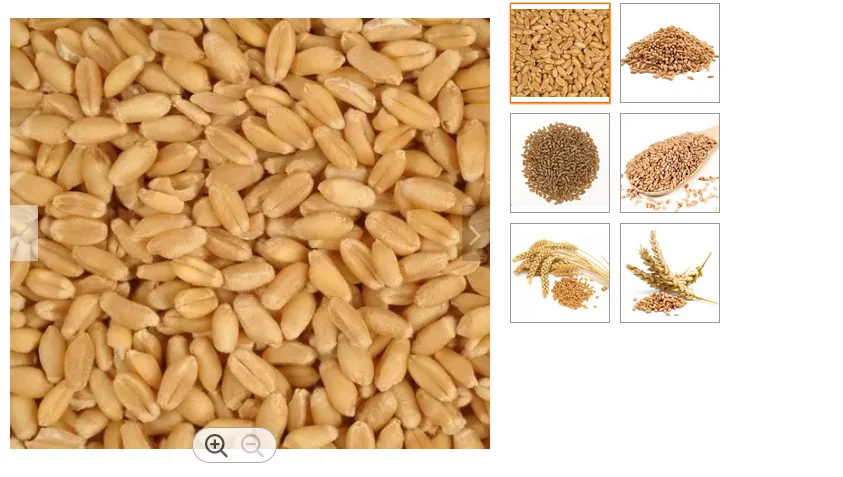 wheat6.PNG
