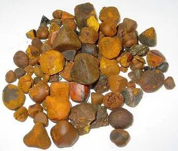 Export 100% Natural Top Quality Ox Gallstones Cattle Gallstones Cow Gallstones for Sale