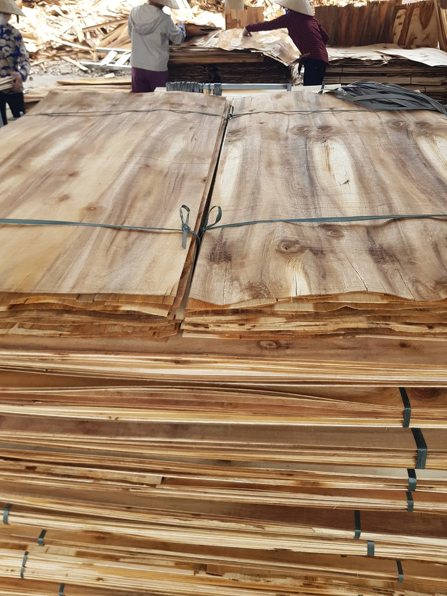 Best Sale 2023 Acacia And Eucalyptus Core Veneer 17 And 20mm Thickness