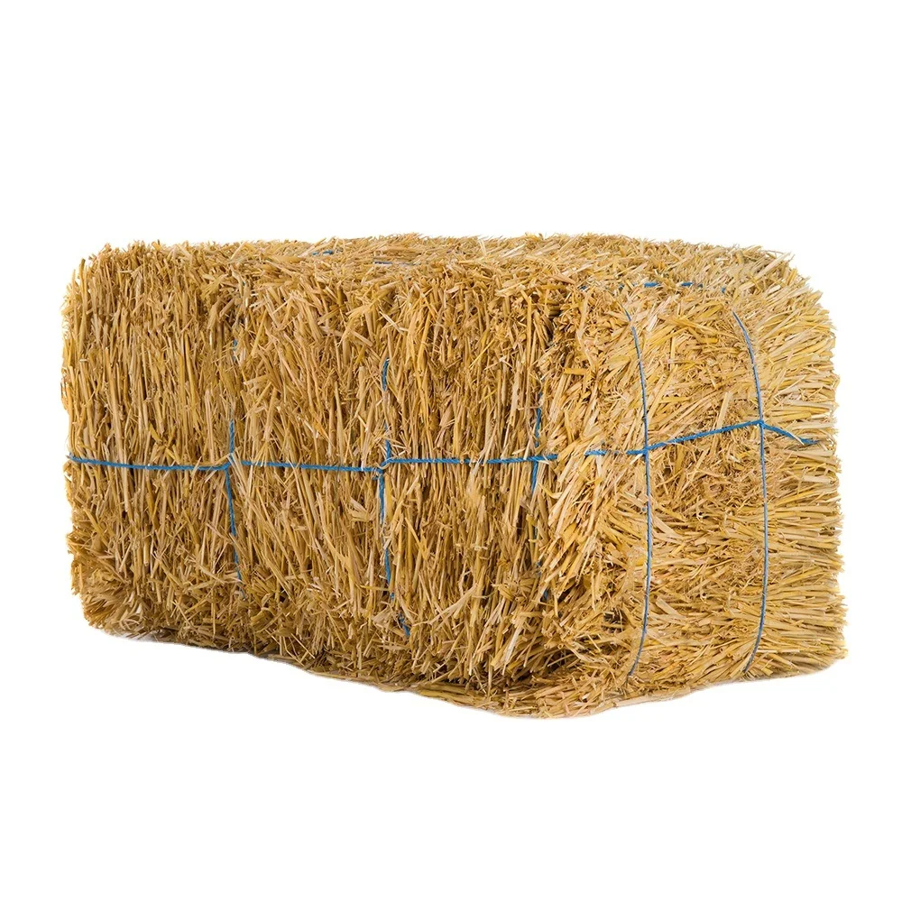 Hay And Forage Square Bales For Sale Buy Forage For Animal Feed