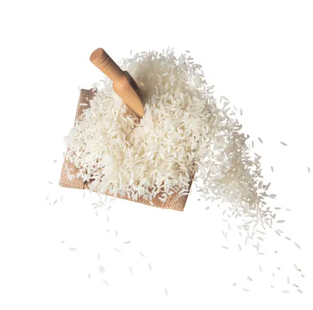 Jasmine Rice / Short-Grain Fragrant Rice / White Rice Premium Sortex ...