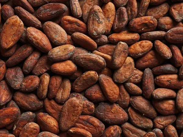 cocoa-beans-750x450.jpg