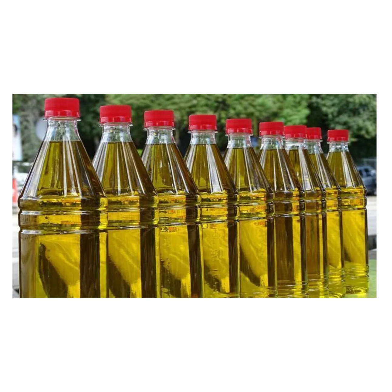 Saefood Bulk Rbd Palm Olein 100 Refined Crude Palm Oil For Cooking