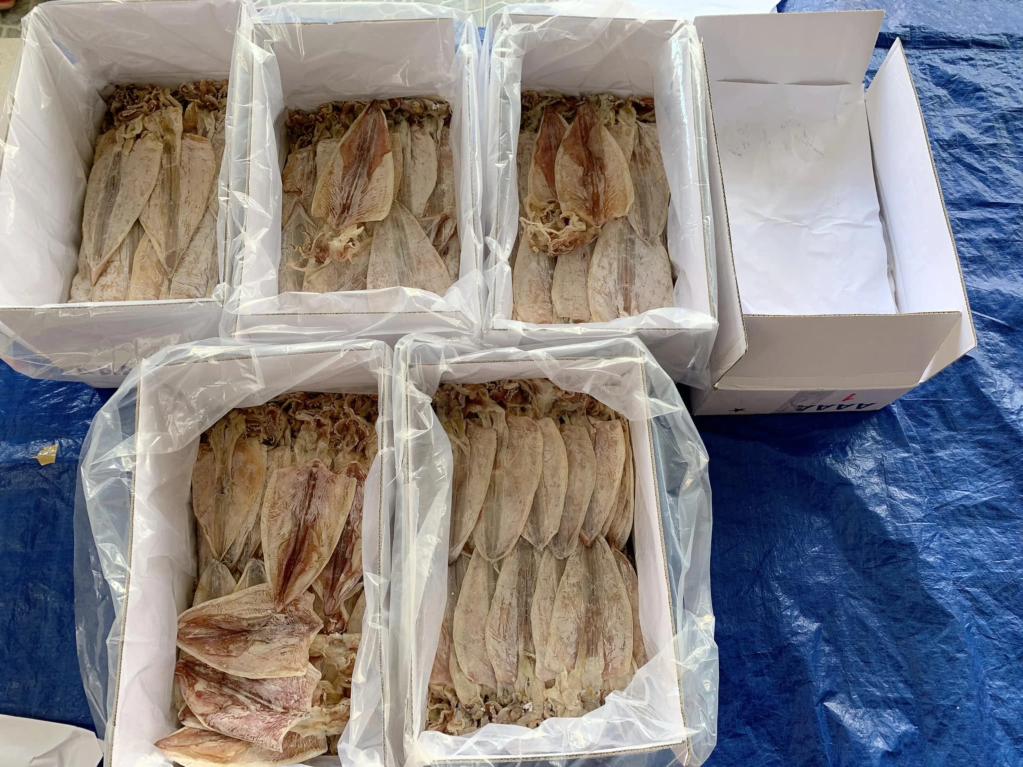 Dried Squid Dry Squid Dried Calamari Premium Grade Cuttlefish Buy