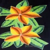 Naranja