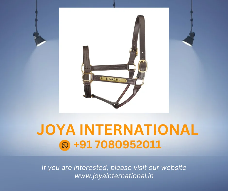 Premium Leather Track Style Show Halter W/plate Buy Quarter Horse