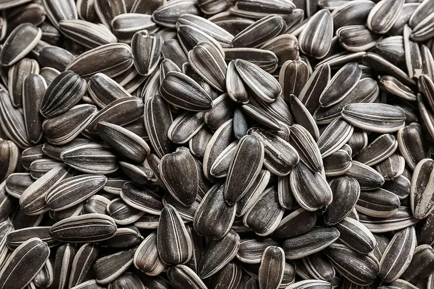 sunflower-seeds.jpg