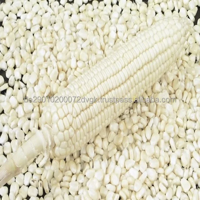 White Corn 4.jpg