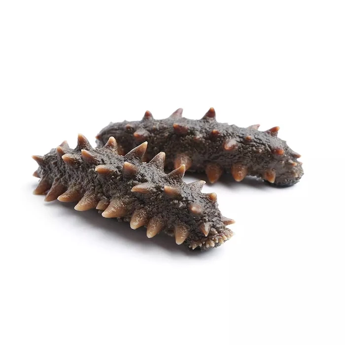 Wholesale Natural Sun Dried Sea Cucumber Buy High Quality Dry Sea