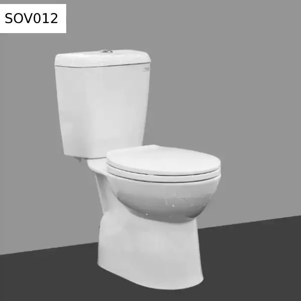 Toilet Ceramic Sanitary Ware Bathroom Toilet,Ceramic Human Toilet White