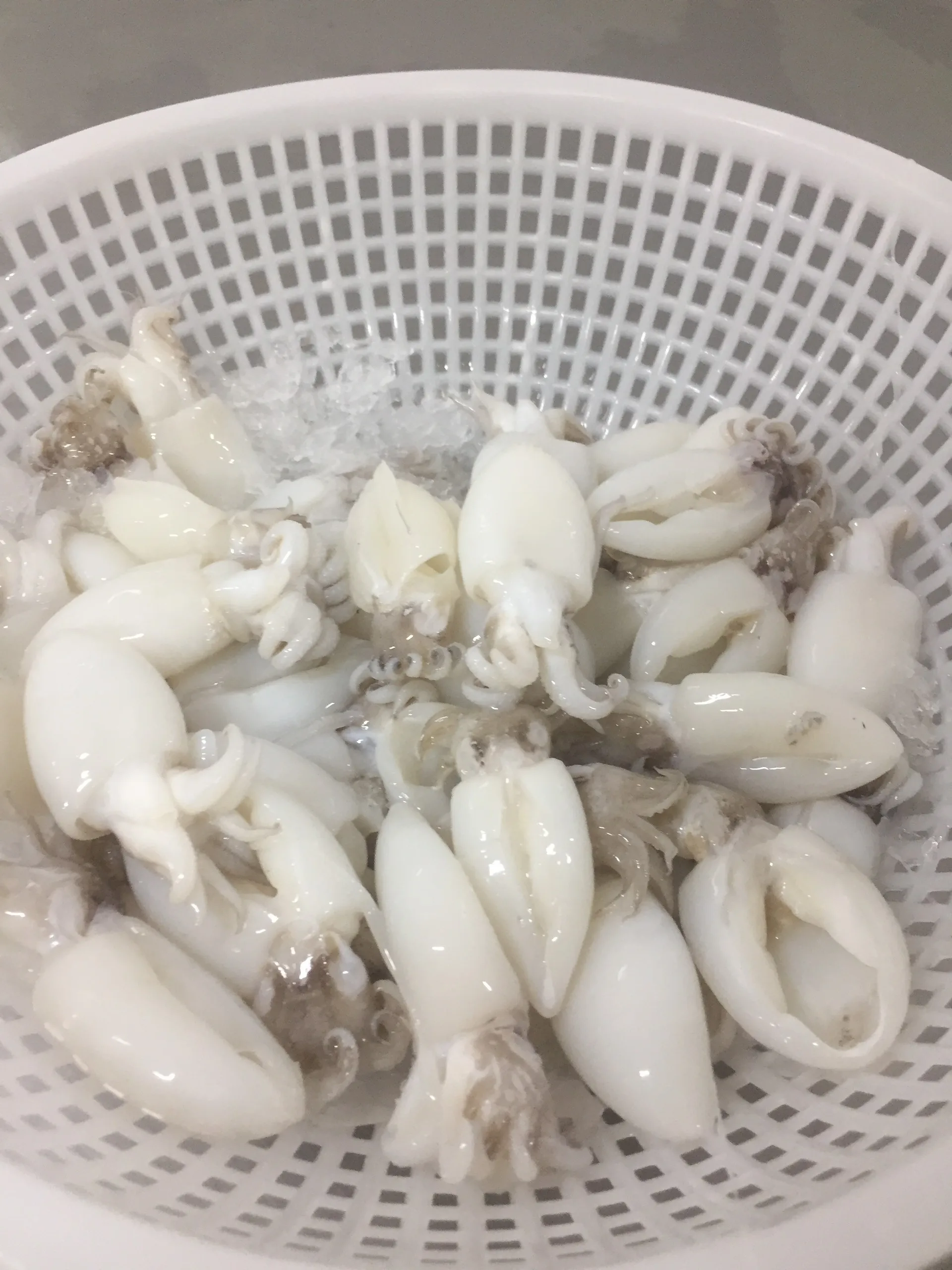 Вакуумная упаковка для замороженных морепродуктов самые продаваемые продукты IQF питательные приготовление каракатиц + 84792840198