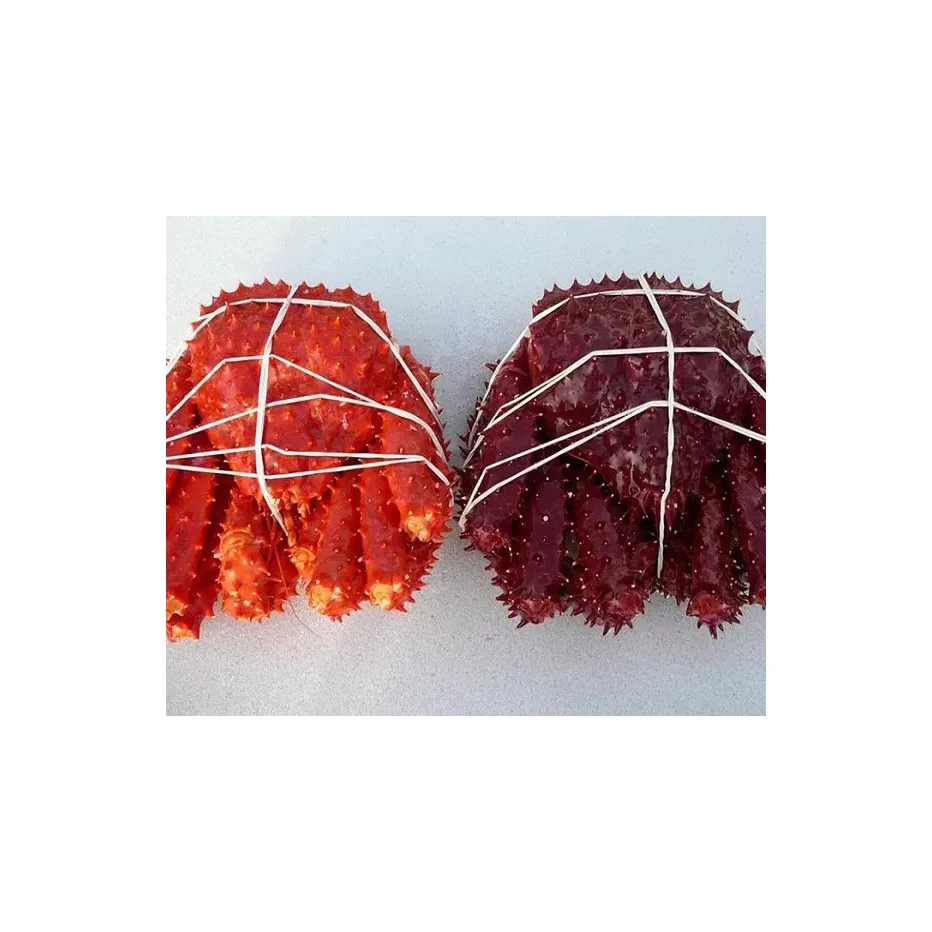 Fresh Red King Crab Fresh/frozen/live Red King Crabs,Soft Shell Crabs ...